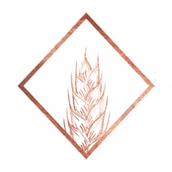 image 10 (14).png