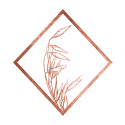 image 10 (13).png