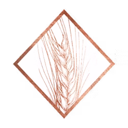 image 10 (12).png