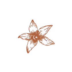 icon-vanilla.png