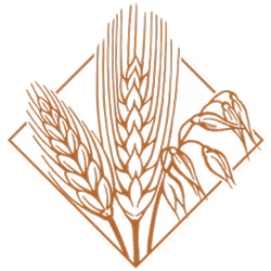image 10 (9).png