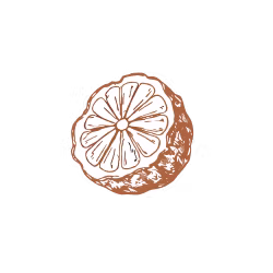 icon-bergamot.png