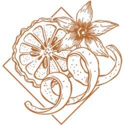 image 10 (11).png